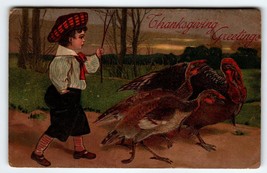 Thanksgiving Postcard Victorian Child Wild Turkeys Embossed Germany PFB 8429 - £9.30 GBP