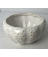 Sonoma Textured Bowl, Fruit, Ice Cream, Plant, Trinkets 4 x 2 3/4” Ivory... - £10.13 GBP