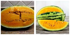 20 Seeds Orangeglo Watermelon Fresh Garden - £15.40 GBP