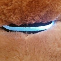 Dog Collar LED Blinking Flashing Black Nylon Adjustable Light Up Glowing... - £7.82 GBP
