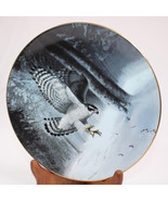 THE NORTHERN GOSHAWK Plate Soaring Majesty Birds Of Prey Charles Frace&#39; ... - $13.36