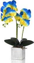 Artificial Potted Orchid Faux Phalaenopsis Silk Flowers Bonsai, Blue/Yellow - £31.89 GBP