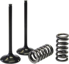 Psychic Intake Valve Spring Kit Suzuki RMZ250 RMZ 250 RM Z250 07-09  - £45.52 GBP