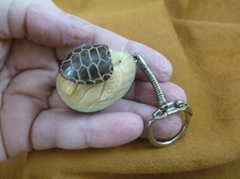 (TNE-T-SEA-387B) Sea Turtle Tagua Nut Figurine Carving Key Chain Ring Turtles - £12.92 GBP