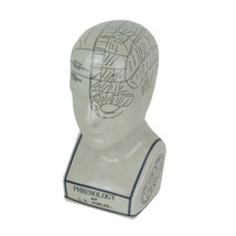 Scratch &amp; Dent AA Importing 59898 Small Phrenology Head - £31.06 GBP