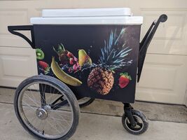 COMMERCIAL CART PORTABLE MOBILE COOLER CART FOOD VENDORS BEVERAGES SMOOT... - $3,498.03