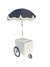 PALETA PUSH CART NEW 2024 CART BEVERAGES CART POPSICLES CART FROZEN ITEM... - $3,325.00