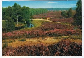 Holland Netherlands Postcard Loenen Veluwe Loenermark - £1.11 GBP