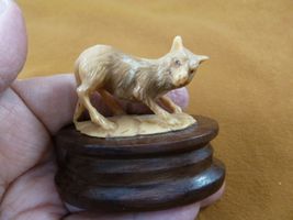 (tb-wolf-16) tan playful Wolf Dog TAGUA NUT palm figurine Bali love wolv... - €37,03 EUR