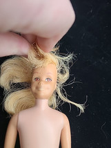 Item image 14