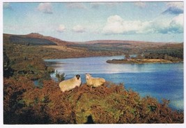 Postcard Burrator Lake Dartmoor UK - $2.96