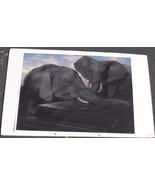 Great Photographic Print – MOUNTED ON ART BOARD – UNIQUE IMAGE – GDC - £30.95 GBP