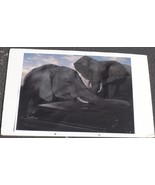 Great Photographic Print – MOUNTED ON ART BOARD – UNIQUE IMAGE – GDC - $54.31 CAD