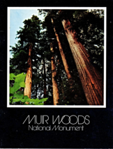 Muir Woods National Monument (Paperback) by Peter Jackson Holter (Author)  - $4.90