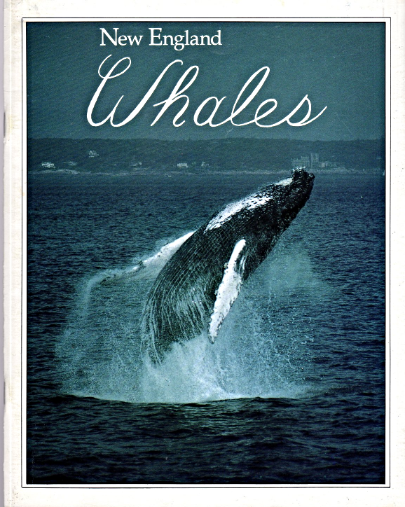Primary image for New England Whales By Howard Garrett & Candice Keays 1993