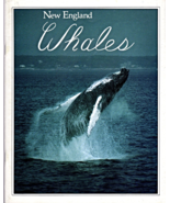 New England Whales By Howard Garrett &amp; Candice Keays 1993 - £5.99 GBP