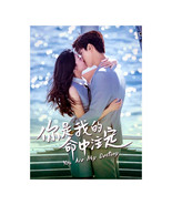 You Are My Destiny (2020) Chinese Drama - $75.00