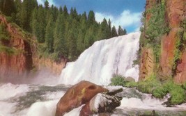 Big Falls Snake River Unposted Vintage Postcard Henry&#39;s Fork Idaho - $9.89