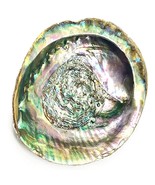 Abalone Shell ~ Large Seashell, Smudging Abalone, Green Abalone Bowl, Wi... - £16.10 GBP