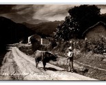 RPPC Man With Burros on Road To Monterrey Nuevo León Mexico UNP Postcard... - $7.87