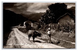 RPPC Man With Burros on Road To Monterrey Nuevo León Mexico UNP Postcard Y12 - £6.18 GBP