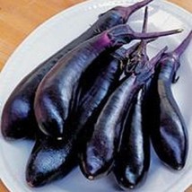 Eggplant Seeds 50 Millionaire Purple Seeds 60 Days Fresh Garden - £11.33 GBP