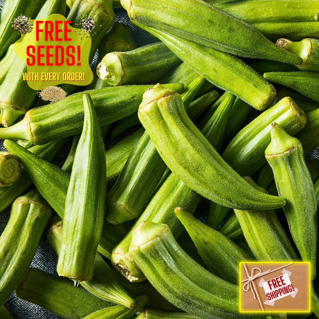 Fresh Okra Seeds | Clemson Spineless | Heirloom Non-GMO | Vegetable Seeds - $3.20