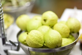 FA Store Lemon Guava {Psidium Guajava} 20+ Seeds - £7.86 GBP