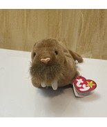 VTG 1999 Ty Beanie Babies Paul Walrus Beanbag Stuffed Animal Plush Toy S... - $9.16