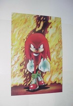 Sonic the Hedgehog Poster #12 Fury of Knuckles Echidna Movie 3 Paramount+ Series - £10.20 GBP