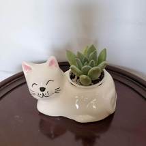 Cat Animal Planter with Succulent, live house plant in ceramic white Kitten Pot image 2