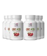 Milk Thistle Supplements - URIC Acid Natural ANTIOXIDANT ... - $89.05