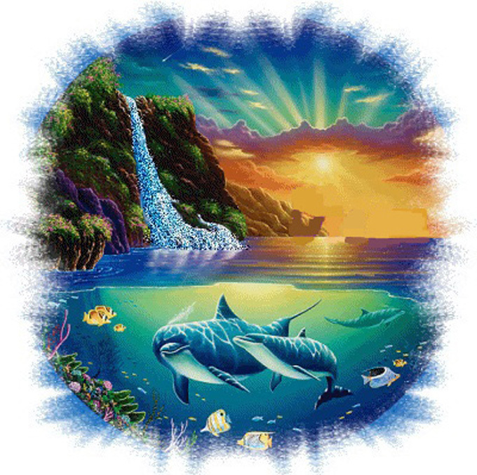 Dolphin Cove Cross Stitch Pattern***L@@K*** - $2.95