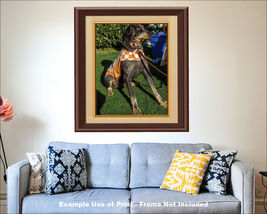 Item image 9