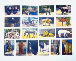 1930&#39;s Miniature Views, 18 of 20 Card Set, Washington DC National Zoo - £97.22 GBP