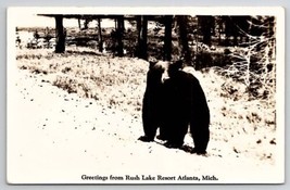 RPPC Black Bear Greetings From Rush Lake Resort Atlanta MI Michigan Postcard U25 - £7.03 GBP