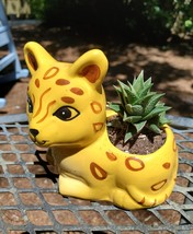 Yellow Cat Planter with Haworthia Succulent, 4" glazed ceramic, leopard jaguar image 2