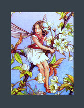 The Wild Cherry Blossom Fairy Art by Cicely Mary Barker Original Early 1940s Edi - £11.91 GBP