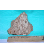 Tufa--100% All Natural--Collect--Display--Bonsai--Suiseki - £6.28 GBP