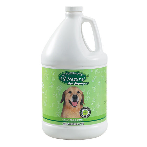 Primary image for Green Tea Mint Pet Shampoo Professional Quality Dog Grooming Concentrate Gallon