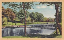 Municipal Park Salisbury Maryland MD Postcard B06 - £2.35 GBP