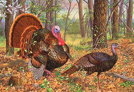 Turkeys In The Woods Cross Stitch Pattern***LOOK*** - £2.35 GBP