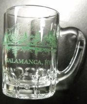 Salamanca New York Shot Glass Double Size Miniature Mug Style Clear with Green - $7.99