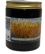 Cordyceps Sinensis mushroom Tea 100g Pure Extract, Increased Energy and ... - $1,009.31 MXN