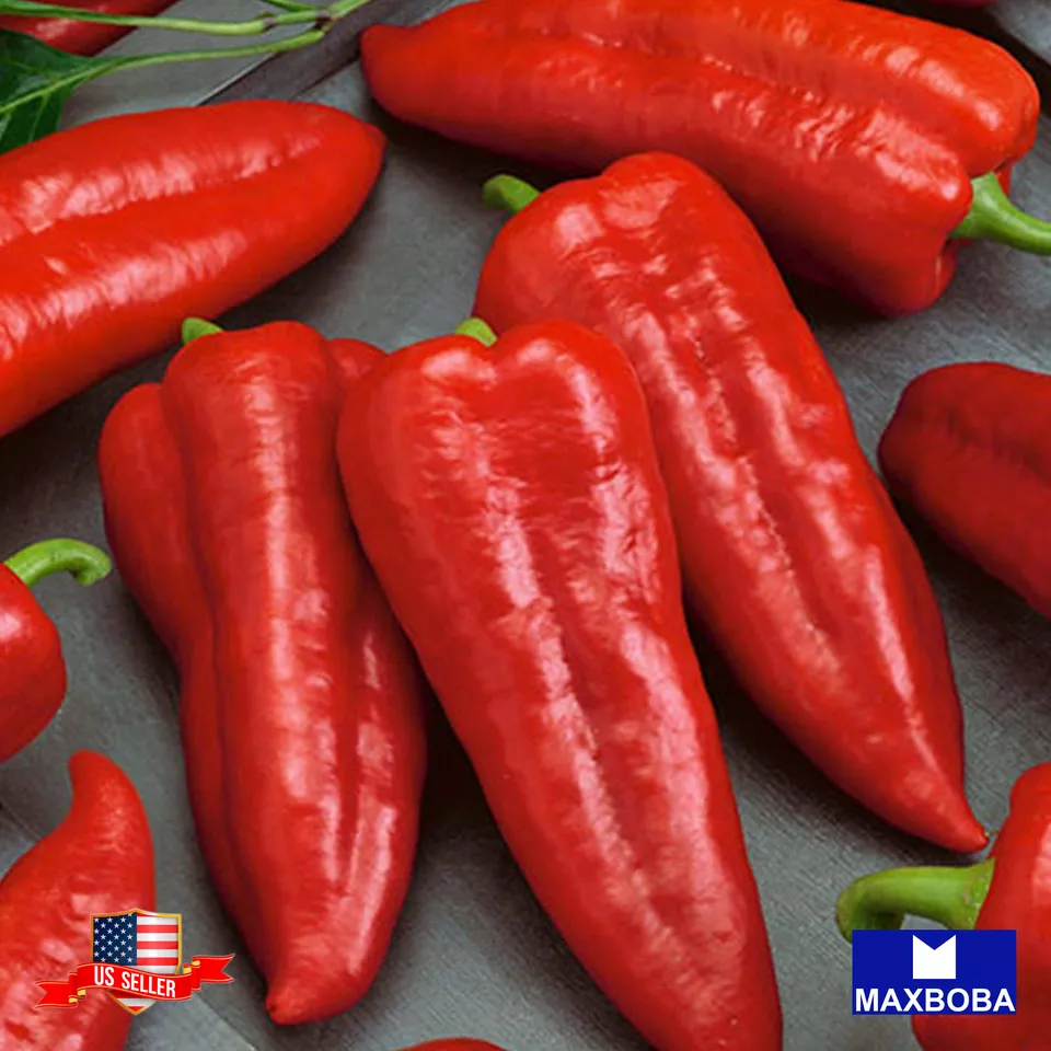 BStore 40 Pepper Sweet Marconi Red Non-Gmo Heirloom Seeds Starter Kits - $13.70 CAD
