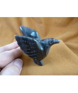 Y-BIR-HU-737) Gray striped jasper Hummingbird gemstone hummingbirds humm... - €21,31 EUR