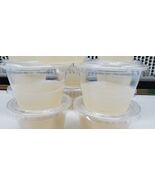 Cactus Tissue Culture Gel Cups – Pre-Sterilized Propagation Medium - $726.40 MXN+