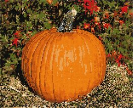 Pepita Needlepoint kit: Pumpkin, 12&quot; x 10&quot; - £69.40 GBP+