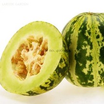 Green Muskmelon Sweet Melon 20 Seeds Spotted and Striped Cucumis Melo Sw... - $4.99