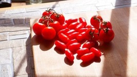 Best 50 Seeds SAN MARZANO Tomato Vegetable Garden Planting Tomatoe USA - £3.82 GBP